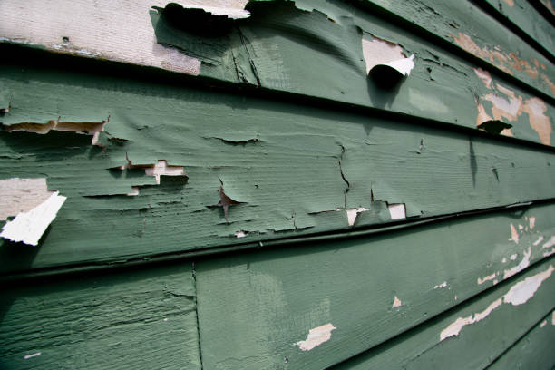 Best Residential Junk Removal  in Weldon, CA