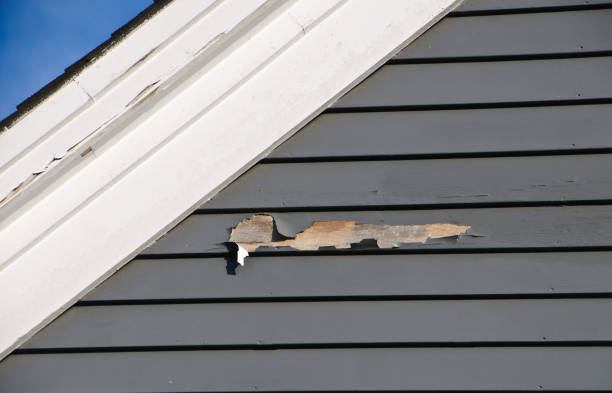Best Appliance Removal  in Weldon, CA